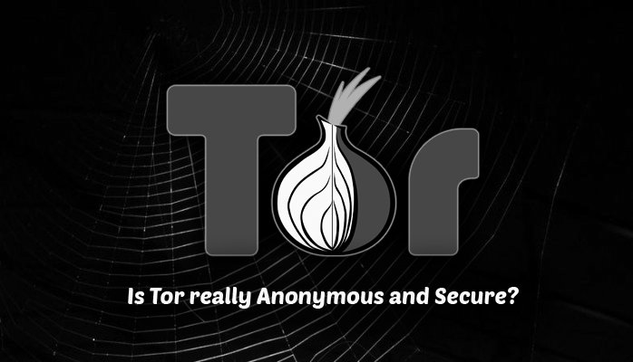orange_junction's tweet image. Warning: Over 100 Tor Nodes Found Designed to Spy On… rd.cempal.com/LtgYsq #anonymitysoftware #darkweb #deepwe