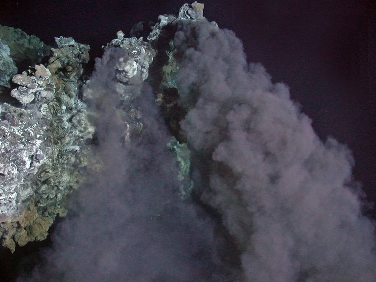CordesLab's tweet image. The best evidence yet for a hydrothermal vent origin of life: nytimes.com/2016/07/26/sci…
nature.com/articles/nmicr…