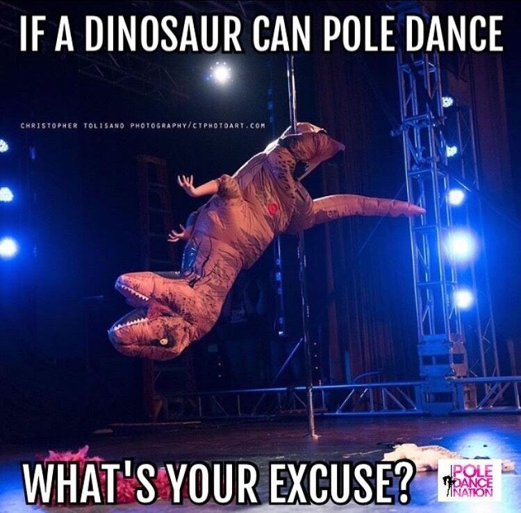 PoleDanceNation's tweet photo. Anyone can be a #PoleDancer! 😂 All you need is a pole 😉 #PoleDance #PoleDancing #PolePeopleProblems #POTD #LMAO https://t.co/YVfnda0Rnp