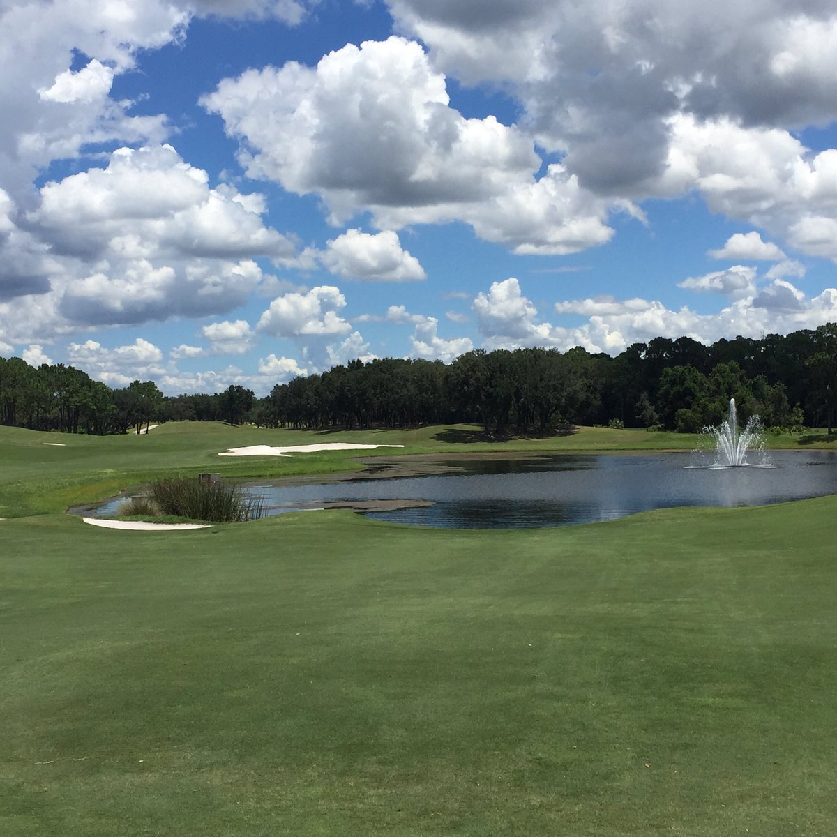snaplacesgolf's tweet photo. Had a great time playing at Tranquilo Golf Course (hole 17) #snaplaces
#golf #floridagolf #lovethisgame https://t.co/iFD6sCZoVo