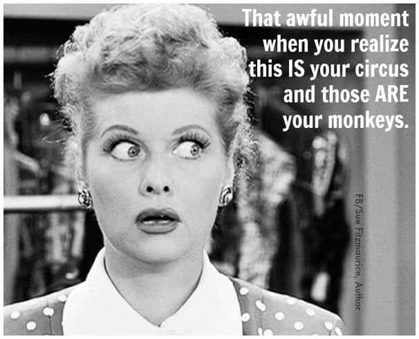 josborn77's tweet photo. Just when I thought I had it all figured out..... #TuesdayThoughts   #crazy  #monkeybusiness https://t.co/vTl6bfi24J