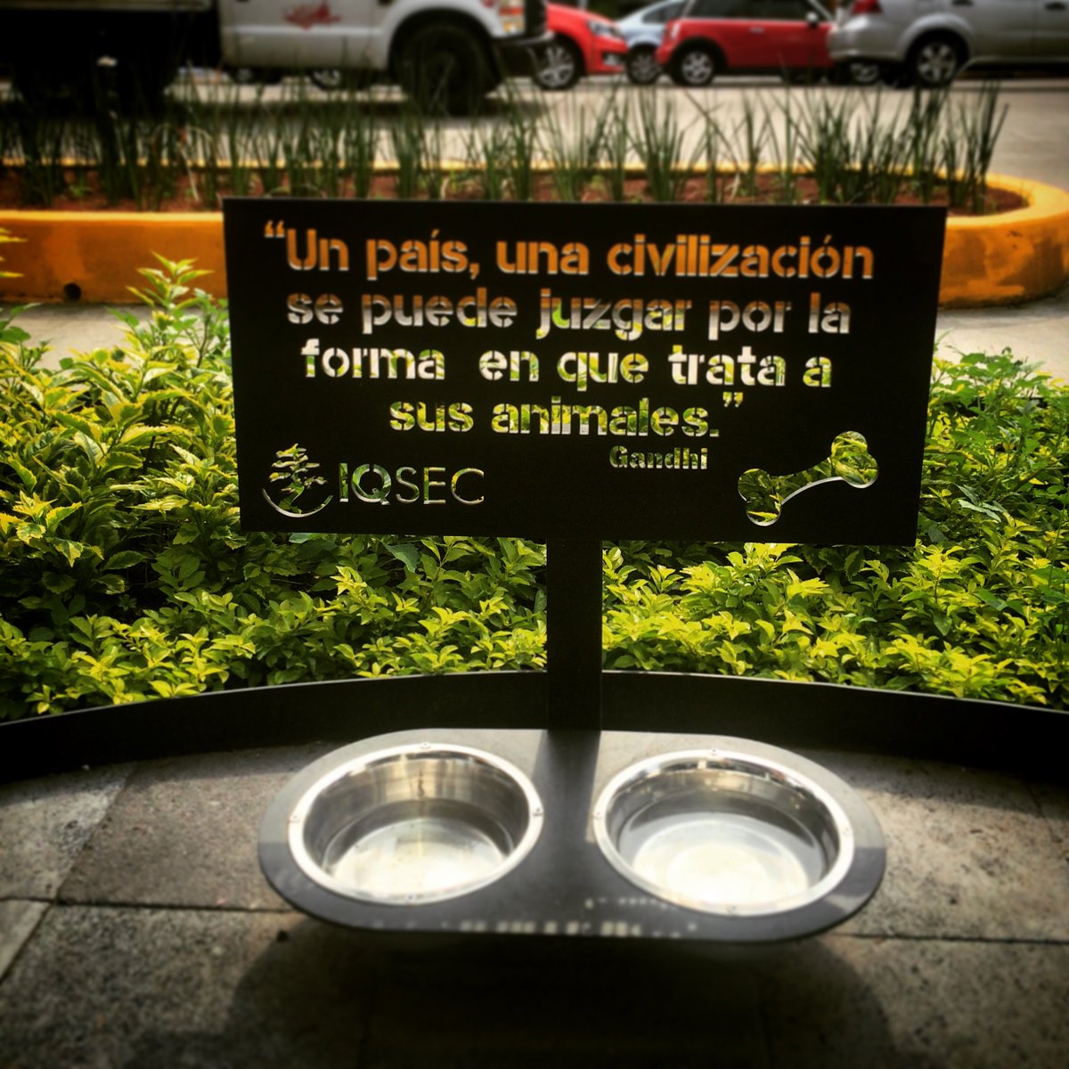 IQsec's tweet photo. En #IQsec creemos que el #RespetoalosAnimales es clave en el desarrollo humano y de la sociedad. https://t.co/ph7om6LgYf