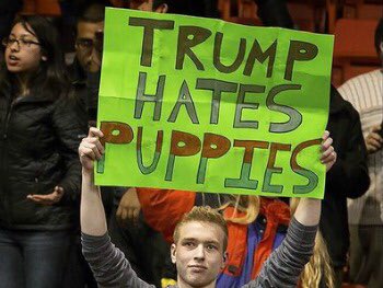 Image result for trump hates puppies