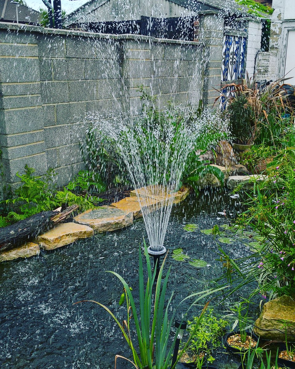 pondstarsuk's tweet photo. Product testing! #ponddoctor #dorsethour #Poole #Dorset #Wimborne #pondstarsuk #SupportLocal #waterfountain https://t.co/NNlFlucg1u