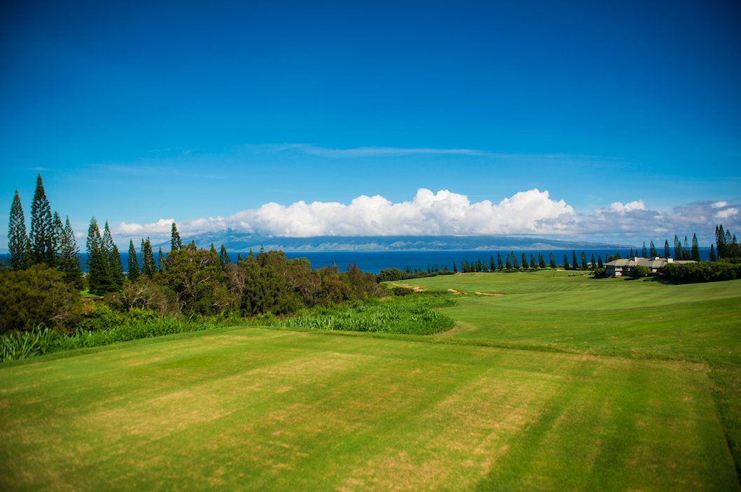 Hawaii Golf App tweet media