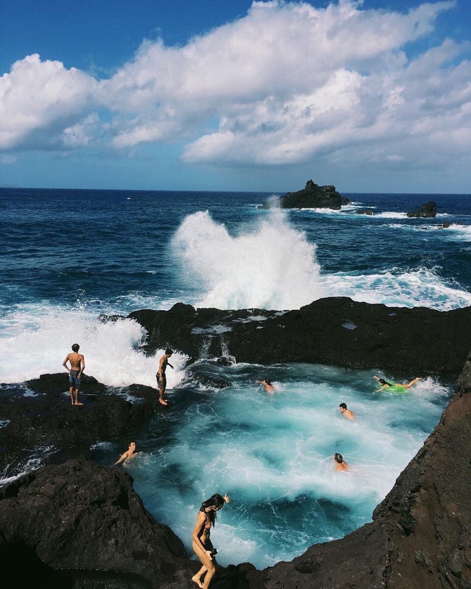 TikTonks's tweet image. rather be hangin here