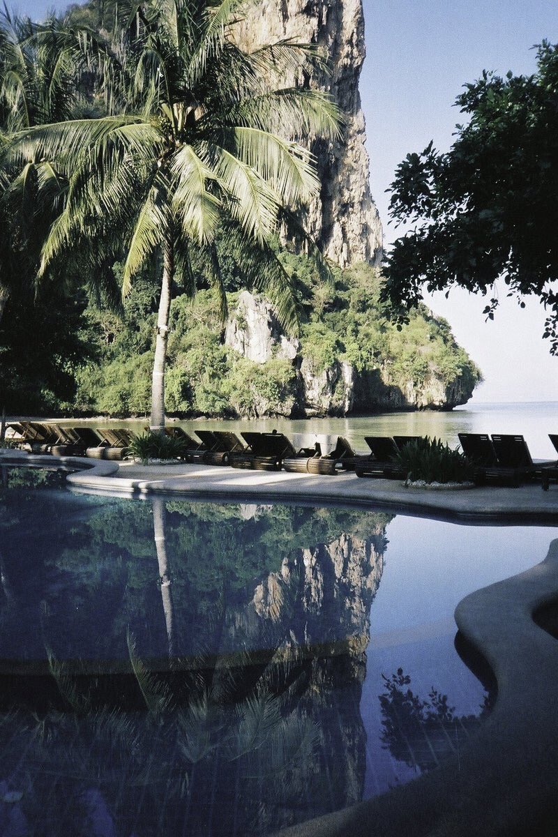 TikTonks's tweet image. rather be hangin here