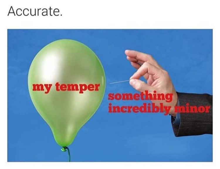 nessalee187's tweet photo. Today. Or really any day actually🙃 https://t.co/JwpP3AND8V