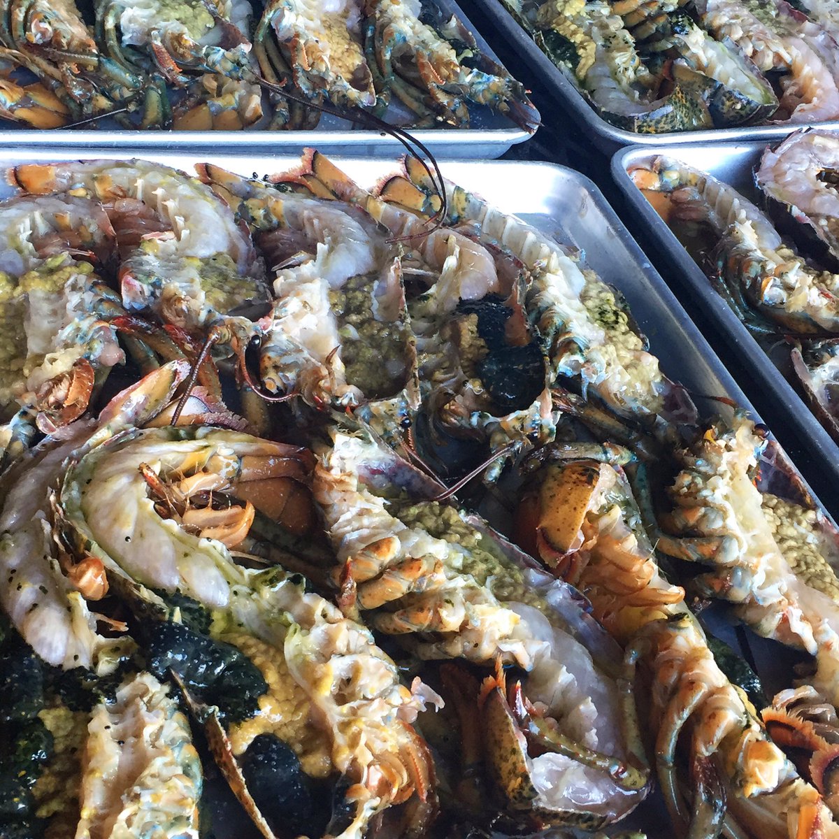 Lord_of_Q's tweet photo. Cooking class with Holy Smoke BBQ goin in Bräcke, Sweden, and lobster is ready for the grill. #BBQ https://t.co/pJZkWNt2NP