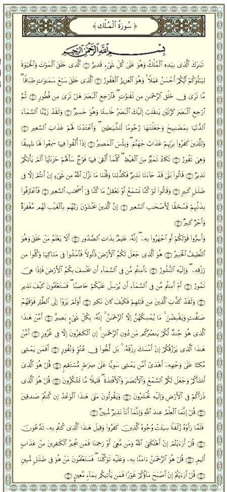 شبكة ع مان oman network on twitter