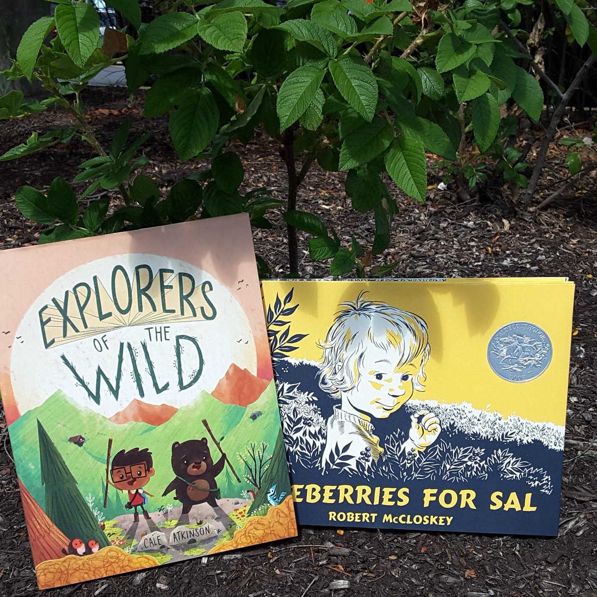 BNSyracuse's tweet photo. Thursday morning #storytime explores the wild (7/28 @ 10am)! #familyfun #bnstorytime #robertmccloskey #caleatkinson https://t.co/29hDVppH24