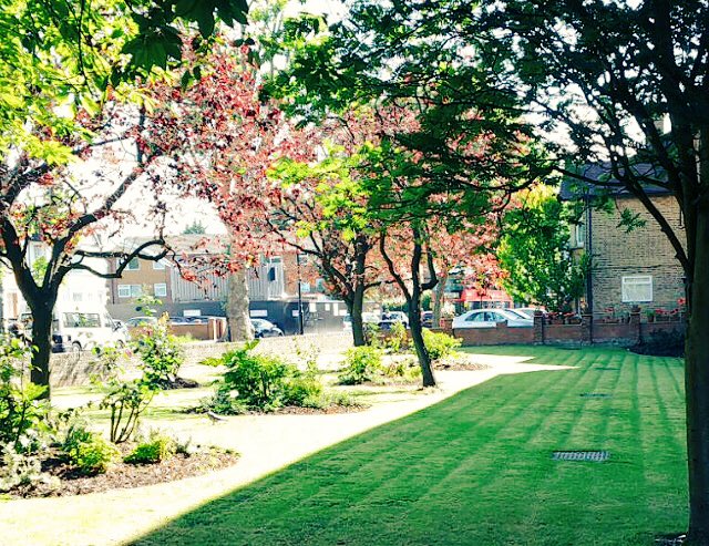 DemmelClaire's tweet photo. Fantastic gardening work at Michael Gaynor from the gardening team #catalystnow #environmental services https://t.co/Y089nhQdBe