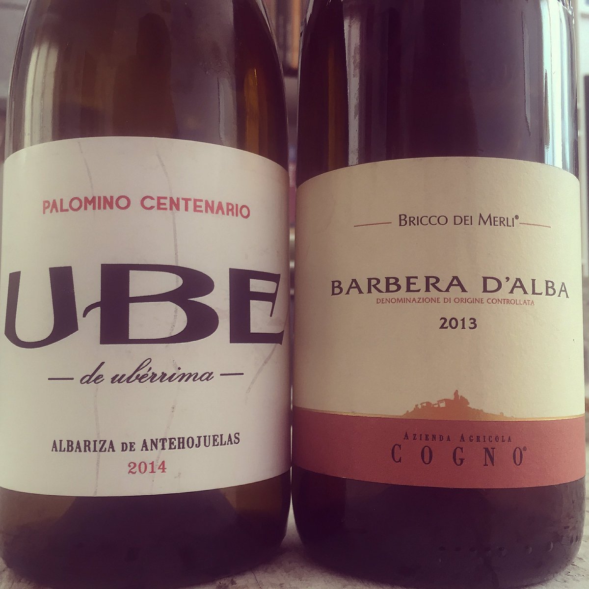 Ubérrima d'Alba
#Ube #albarizatorio #Cogno #barberadalba