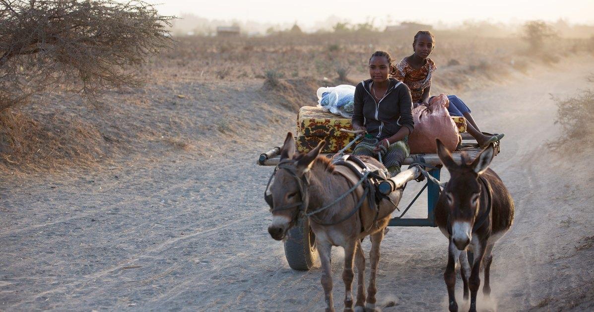 TonyCasso's tweet photo. #ElNiño is devastating the lives of millions. Read their stories here. #sharehumanity - https://t.co/XNX4e8hp1a https://t.co/zdHFZoK9rh