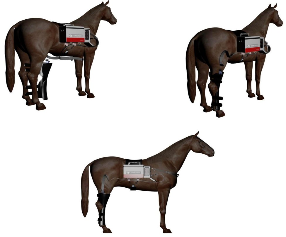 AmericaCryo's tweet photo. Check out our #cold_compression devices for horses on sale now! Visit here https://t.co/TwzbiWaW7O #Cyrotherapy https://t.co/XbY2pmsdFF