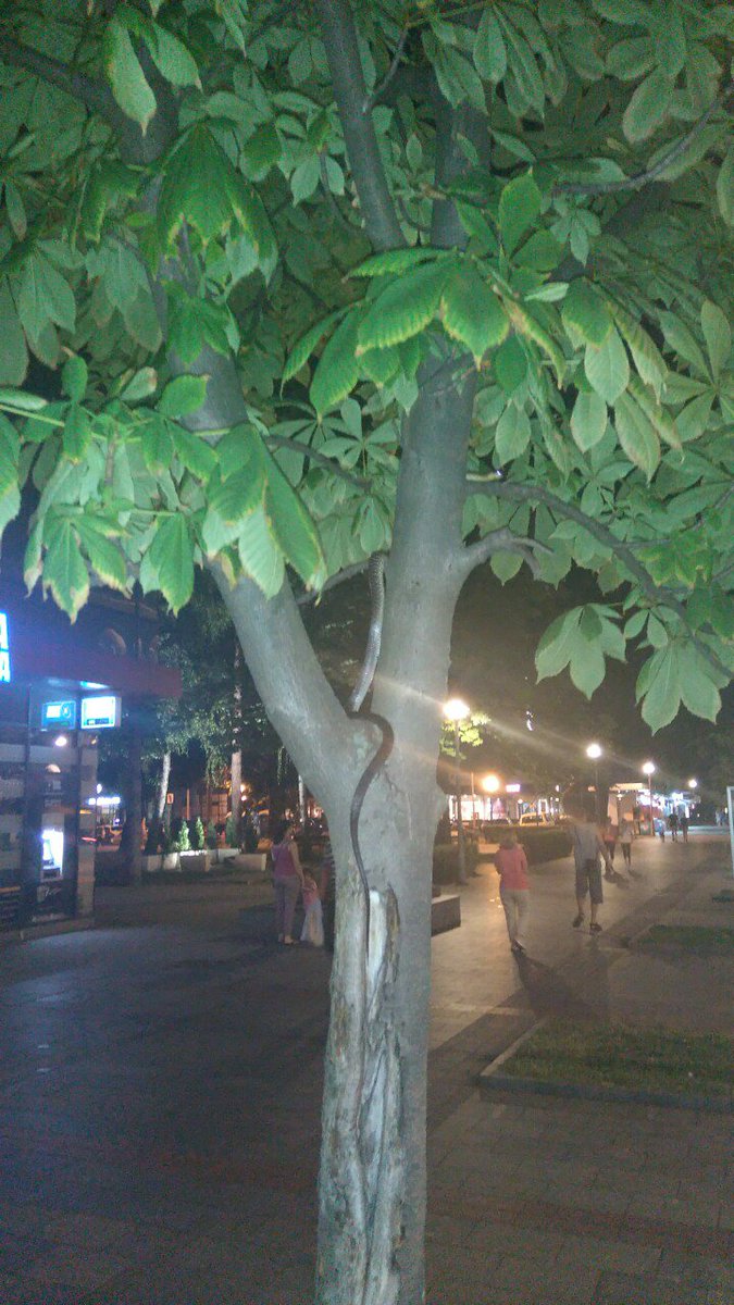 #banjaluka kod poste u centru.