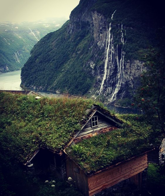 EkkoGreen's tweet photo. Quem gostaria de estar nessa casa agora? 🙋 Desejo do dia! #natureza #telhadoverde #sustent… https://t.co/rOMLyT8yIh https://t.co/d3LoGoNyAX