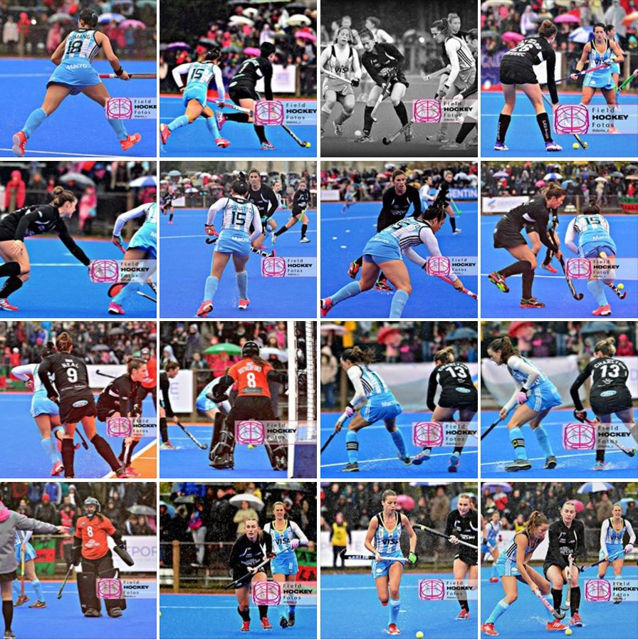 Hockey MUNI HD📸 tweet media