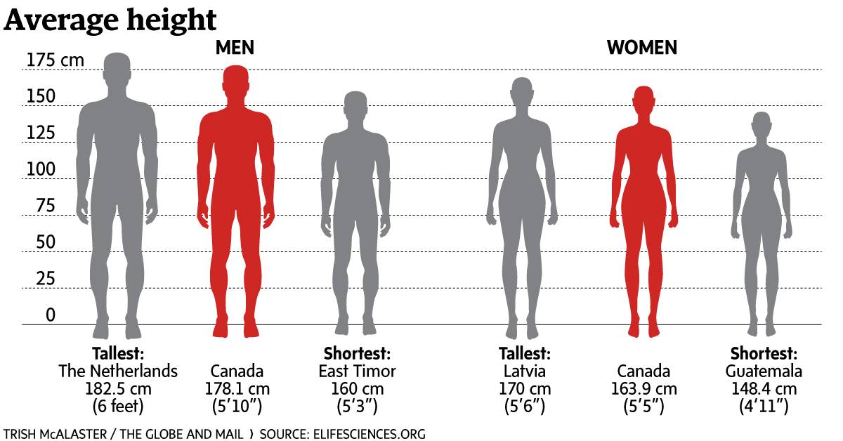 JohnnyJet on Twitter: World s tallest people are Dutch men. 
