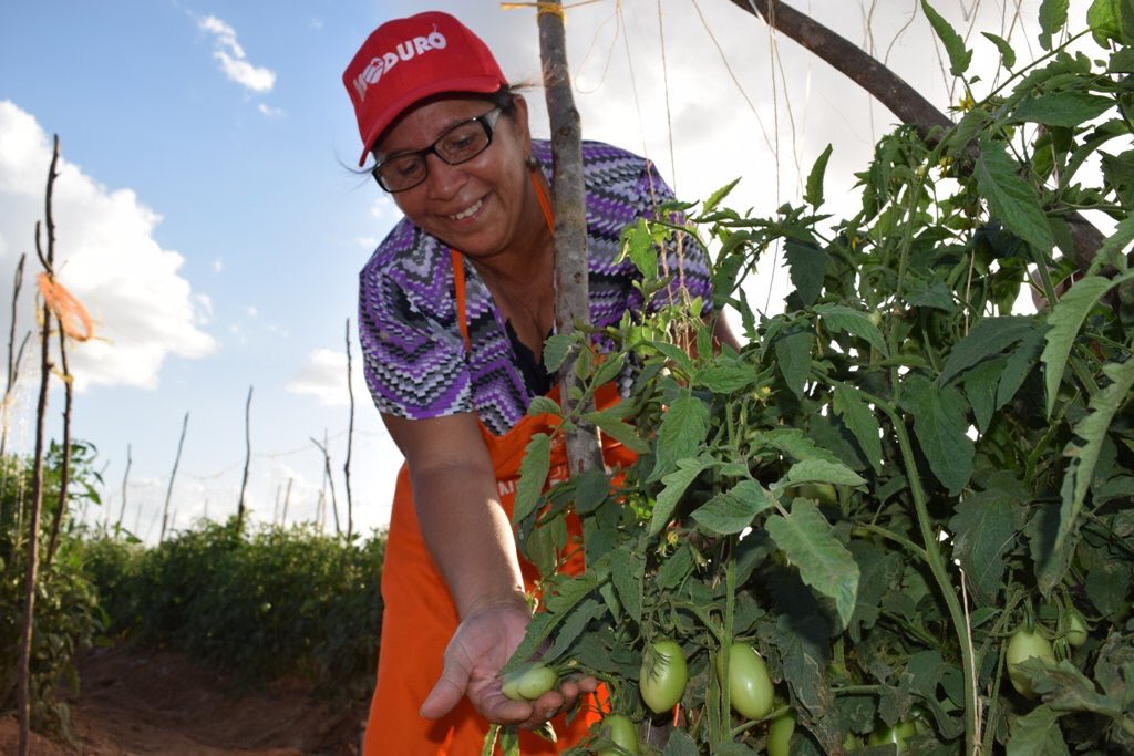 Además haré balance de la jornada de trabajo de la semana y de la Gran Misión Abastecimiento Soberano...Pendientes..