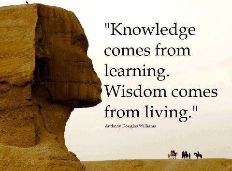 LeadToday's tweet image. Knowledge is just a pile of facts, wisdom is knowing how to use them. #quotes