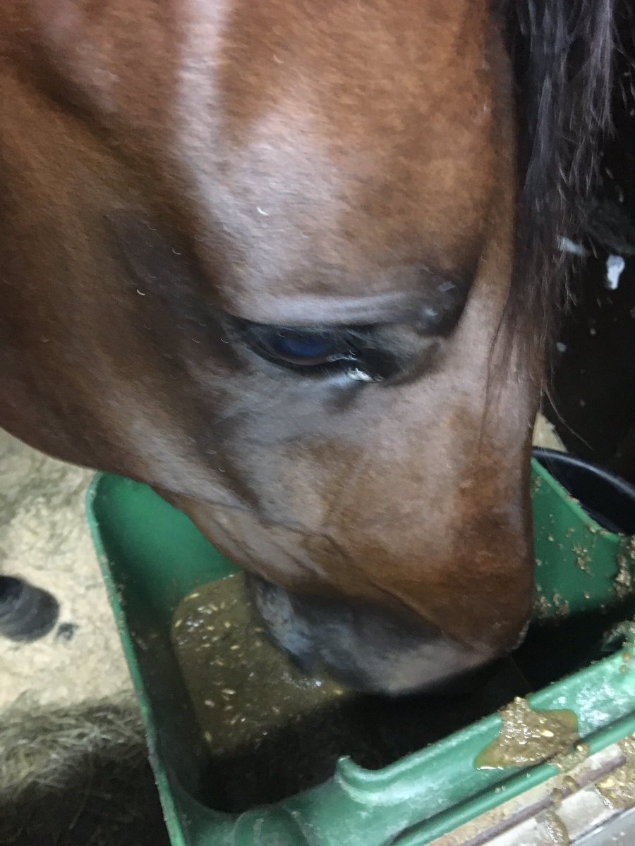 stallzet's tweet photo. Tack för idag Propulsion!Vilken kille 😍 
Tack alla som skapade festen på Jägersro!
Tack AllA! 🙌🏻 precis AllA👌🏻#magi https://t.co/ELgNk0z1PT