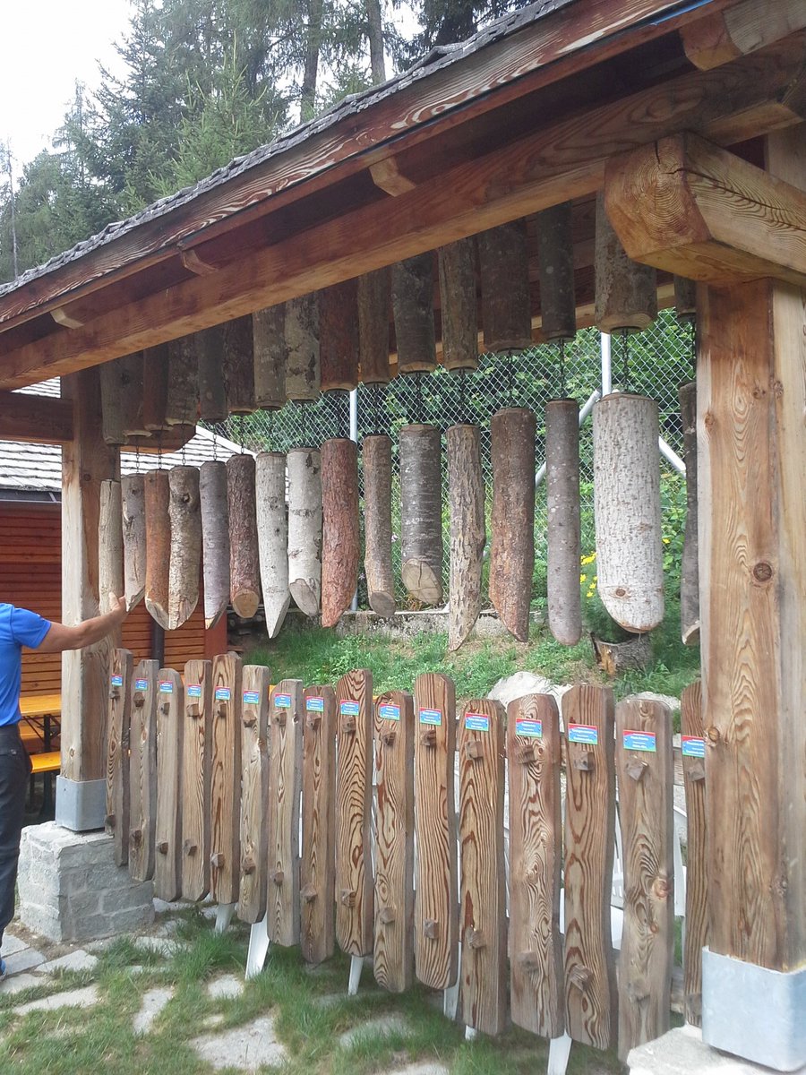 isotta28's tweet photo. @AptValdiSole oggi visita a #BoscoDerniga #valdisole #biodiversità #natura #sensi https://t.co/kBphrIdbHJ