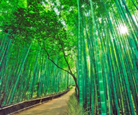 6 epic natural wonders of the world bit.ly/1MFajFv