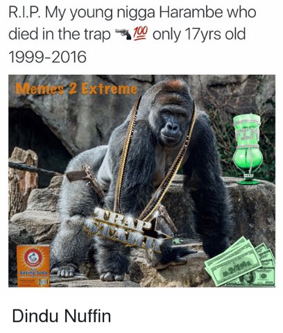 RlPHarambe's tweet photo. 😩😩😩too young man https://t.co/fwUvnShMQh