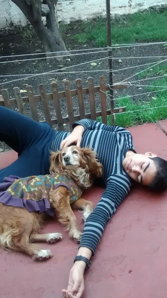 Extraviada el 21/7 de población J.Aguirre, tiene 15 años, sin placa no chip El teléfono es 950111859.
Danilo. RT xfa