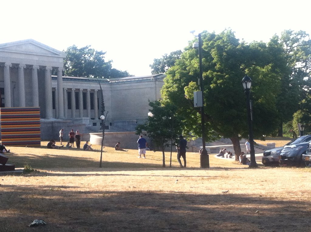 sharebare362's tweet image. #PokemonGoBuffalo must be at least 50 players at the art gallery and rose garden