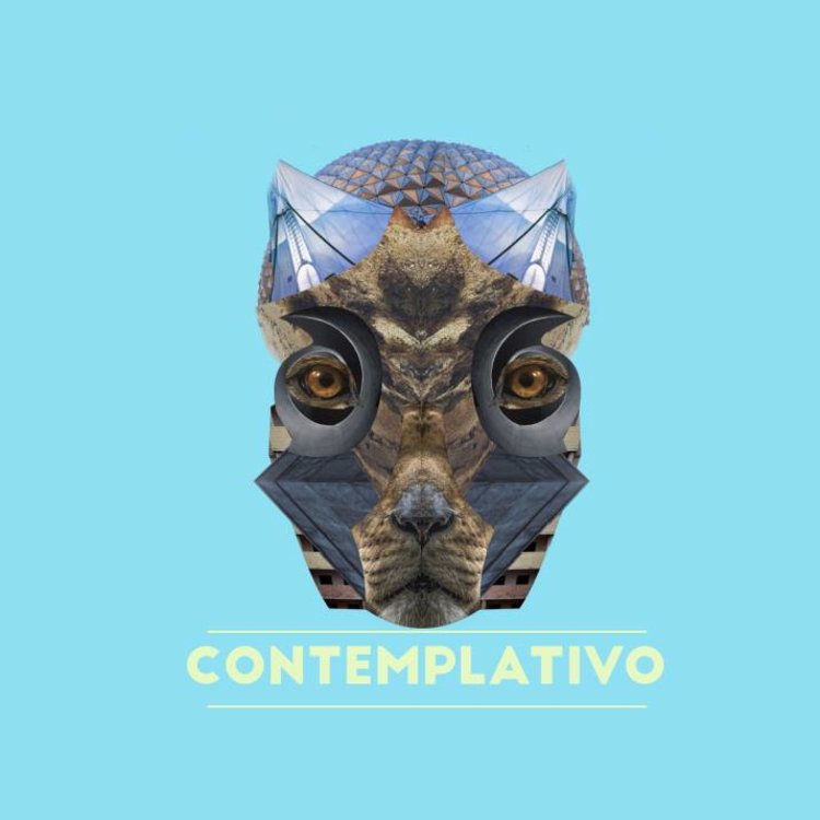 Industrias WIO tweet media