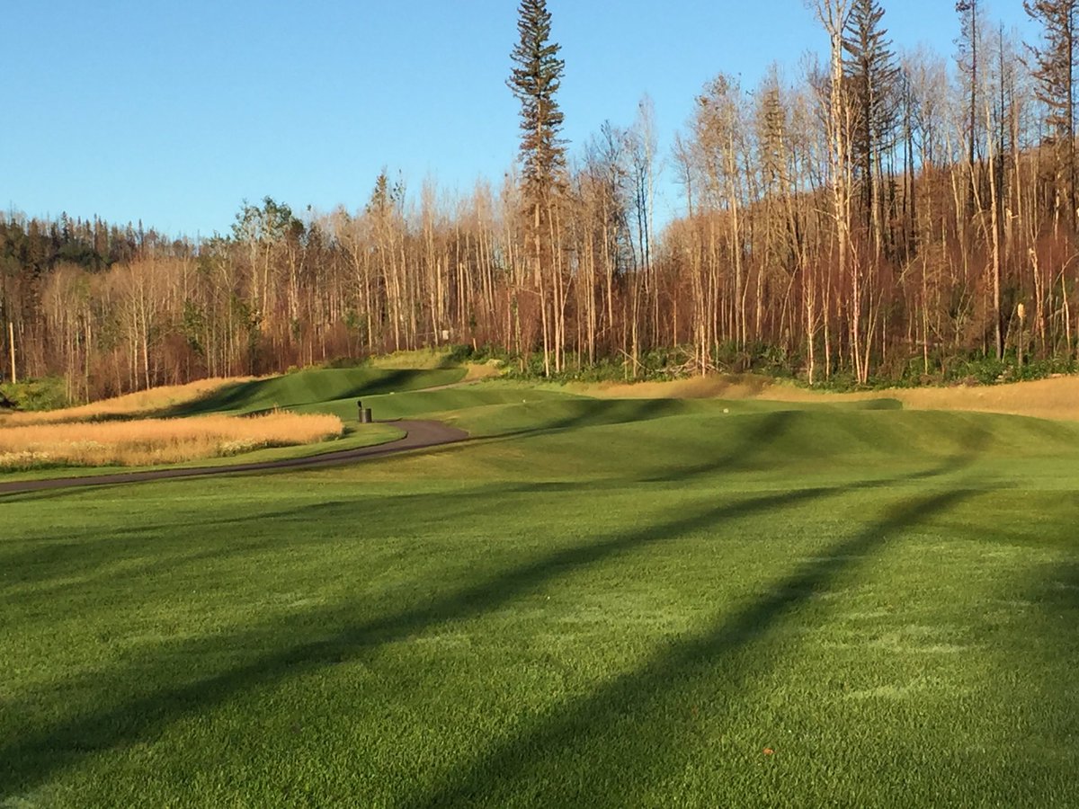 JeffHacior's tweet photo. Forgot this last one @FortMcMurrayGC it's even better looking back towards the tee. #morefescue #lesstrees https://t.co/umKreqHpwS