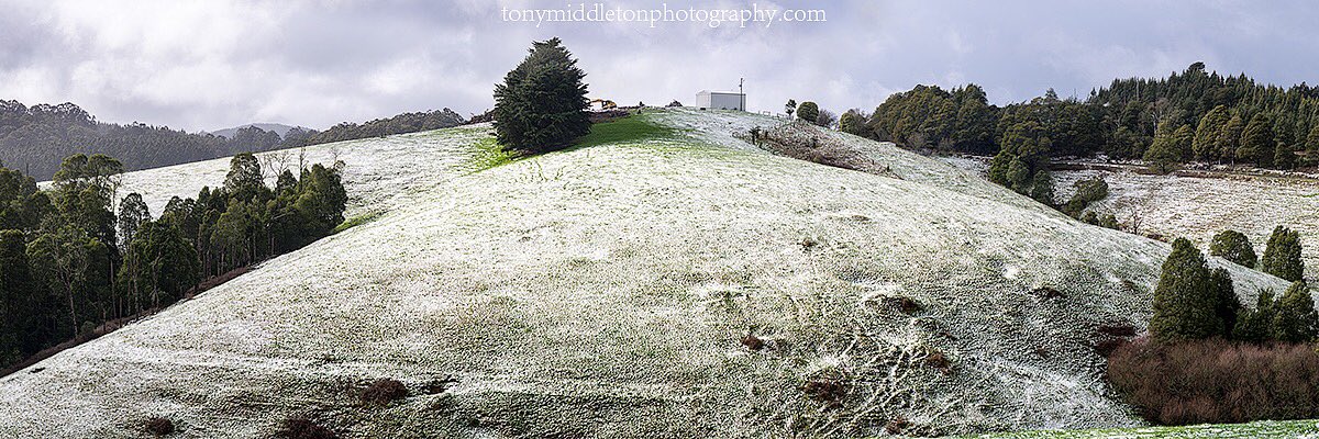 wildcoastimages's tweet photo. Hump day.This was 13-7-2016 #SthGippy with #snow at 370m
#inspiredbygippsland #wandervictoria #strzelecki #gippsland https://t.co/MsPJzmTCpE