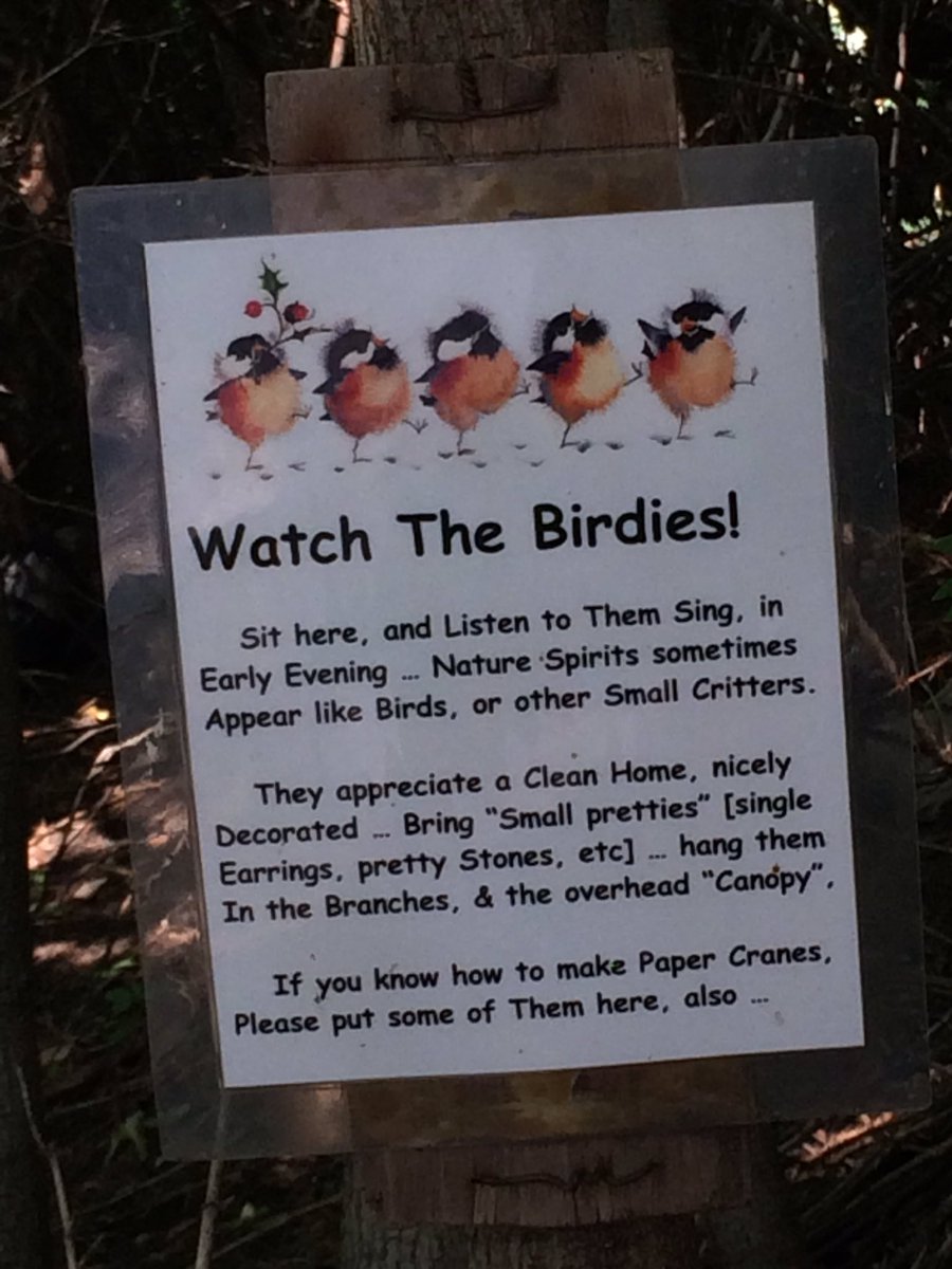 ymota's tweet photo. Oooh the things I find on my way to the bookstore #fairies #dontlitter #HydePark #CityLife #keepChicagoclean https://t.co/uGxBjUyIFB