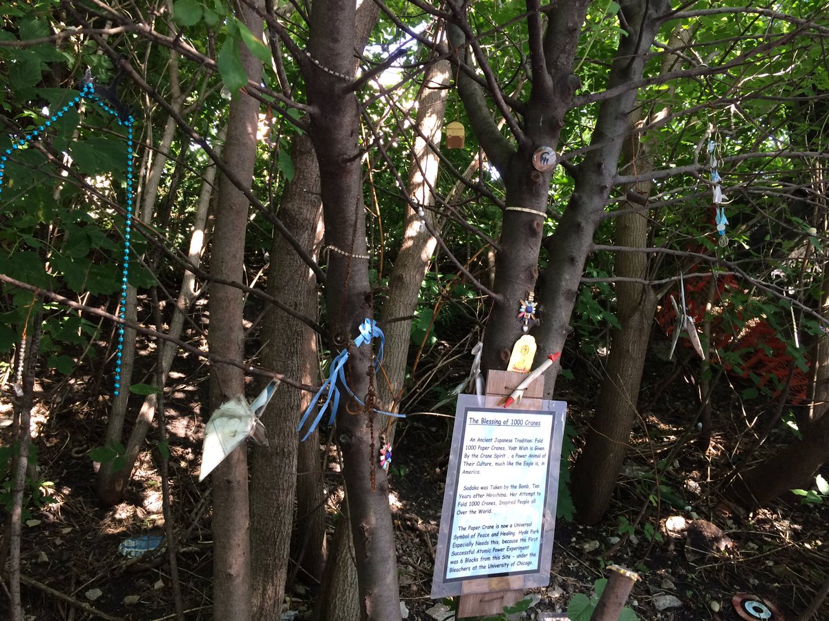 ymota's tweet photo. Oooh the things I find on my way to the bookstore #fairies #dontlitter #HydePark #CityLife #keepChicagoclean https://t.co/uGxBjUyIFB