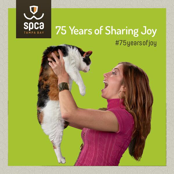 RoxanneWilder's tweet photo. Looking forward to interview tomorrow with @SPCATampaBay Spread the #Humanimality ! And get ready for Pet Walk https://t.co/feXbtiSvQq