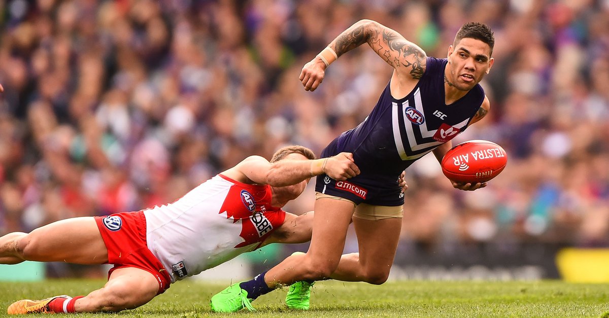freodockers's tweet photo. https://t.co/8uMXOgQTRV previews Sunday's clash with the Swans #foreverfreo shttp://bit.ly/29YrDaE https://t.co/iV8ejhzXp5
