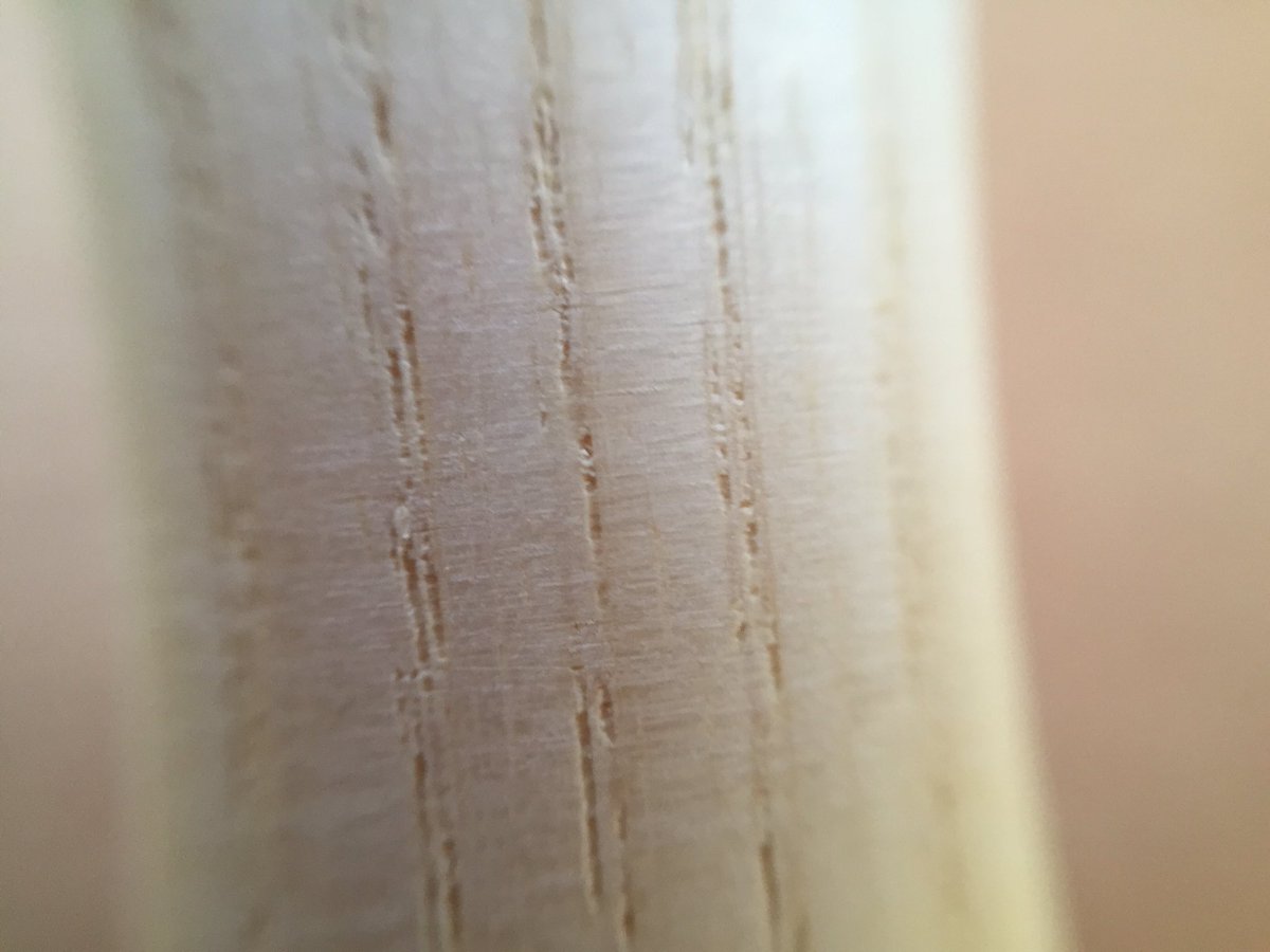 Stachebats's tweet image. Close up of ash grains