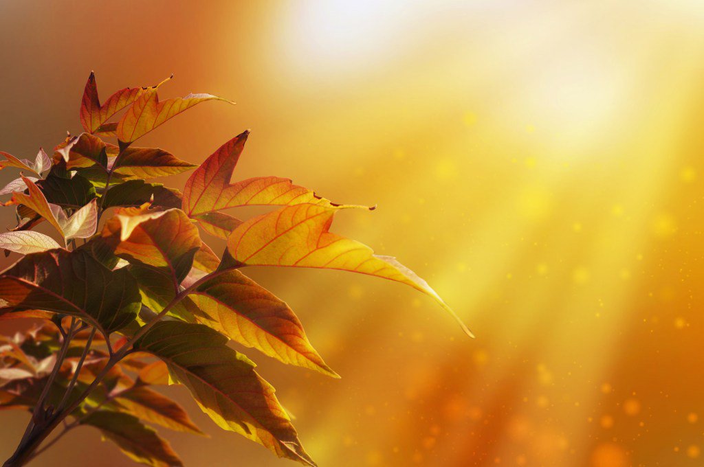BBCInspires's tweet photo. Shine the Light https://t.co/XK5Rf8Pf9K https://t.co/soAp8mTAWA