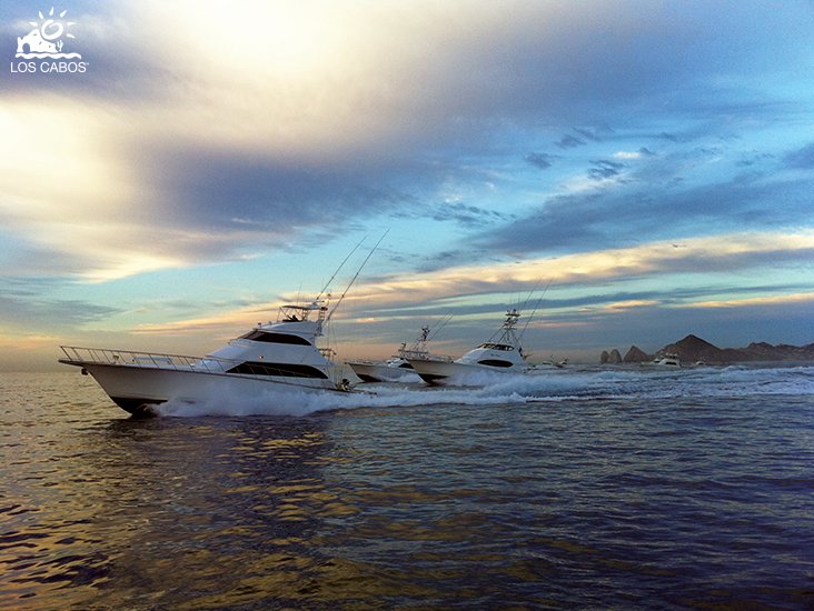 LosCabosTourism's tweet photo. Discover the upcoming "must catch" events that will be happening in #Cabo. https://t.co/TE0hLhrq7l https://t.co/1AWR9vlAOf