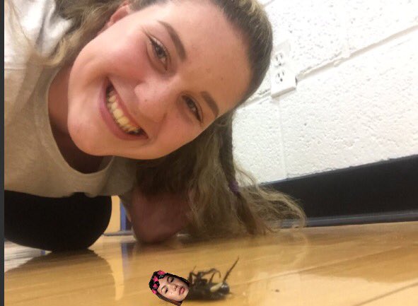 Kyrak211's tweet photo. @Corinne_Buck @Sierra_sievers @devony24 @prakritithapa__ NOO heres the real cockroach 😂😭 #fuckinTRASHED https://t.co/wkD3Uz2B8S