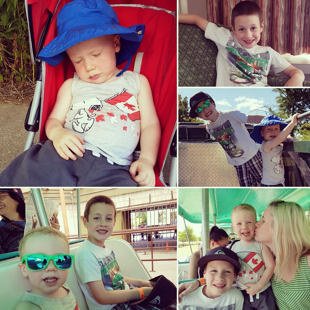 MelanieNabert's tweet photo. Just #MeAndMyBoys today,  so much fun at the #TorontoZoo https://t.co/tB2XbNCwTd