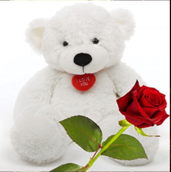 UmaliDhin's tweet photo. #Let's spread some L❤VE!!💖☺😘
#Happy Day🎈💗🌻😊😄 https://t.co/94NsDe0o10
