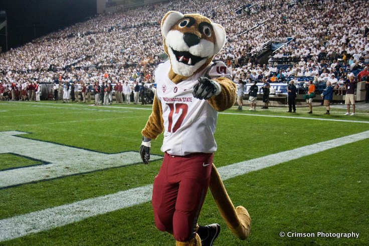NCAASportThread's tweet image. Washington State University #WSU Sports Thread