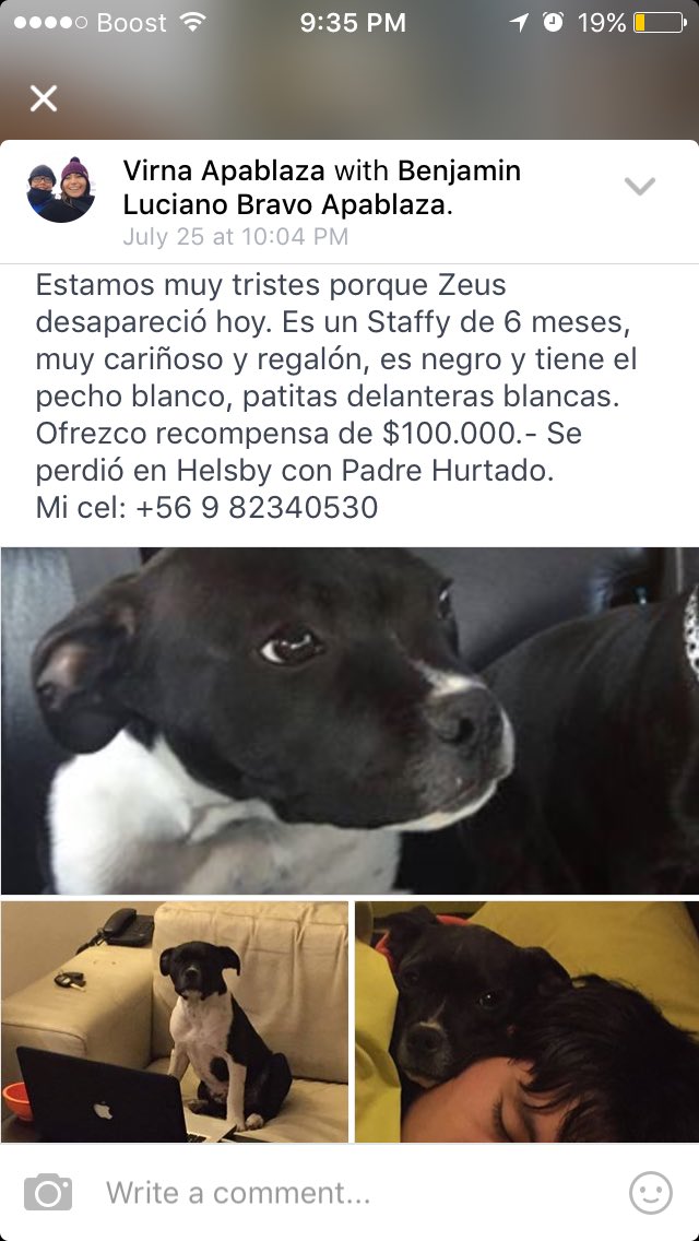 #sebusca #perdido