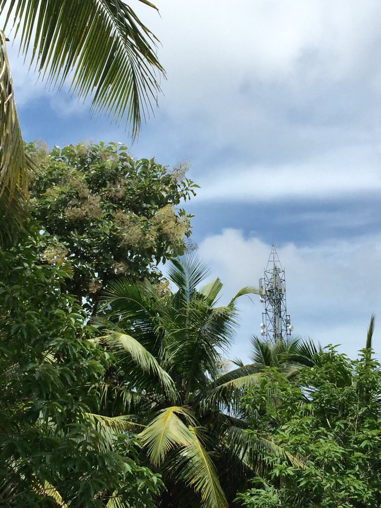 hackorama's tweet image. #kerala land of coconut trees and cell towers #godsowncountry