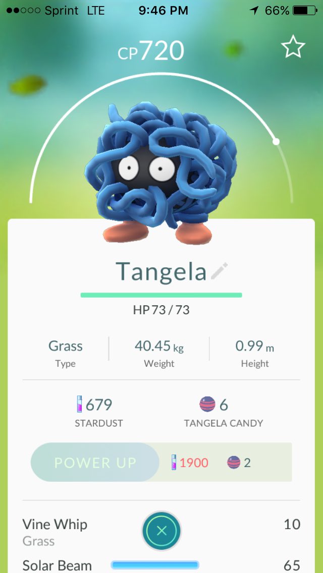 TeamValor558's tweet photo. @PKGOTeamValor catch of the day #TeamValor https://t.co/7L0XITIrmq