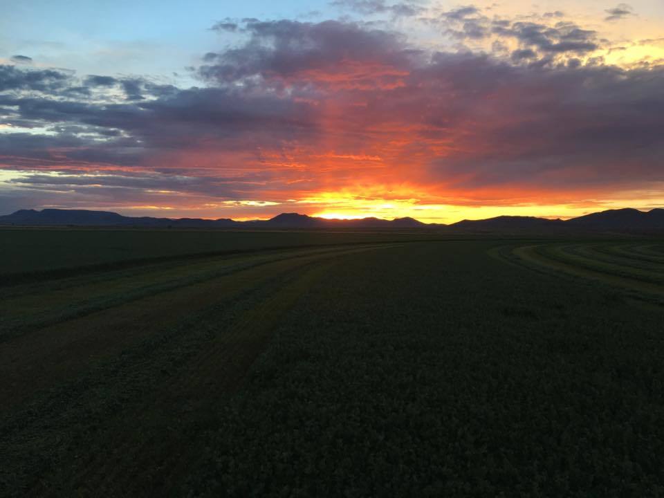 CrystalRMeats's tweet photo. Goodnight, time to rest! #getsomesleep #harvestime https://t.co/fAe3SPGFge