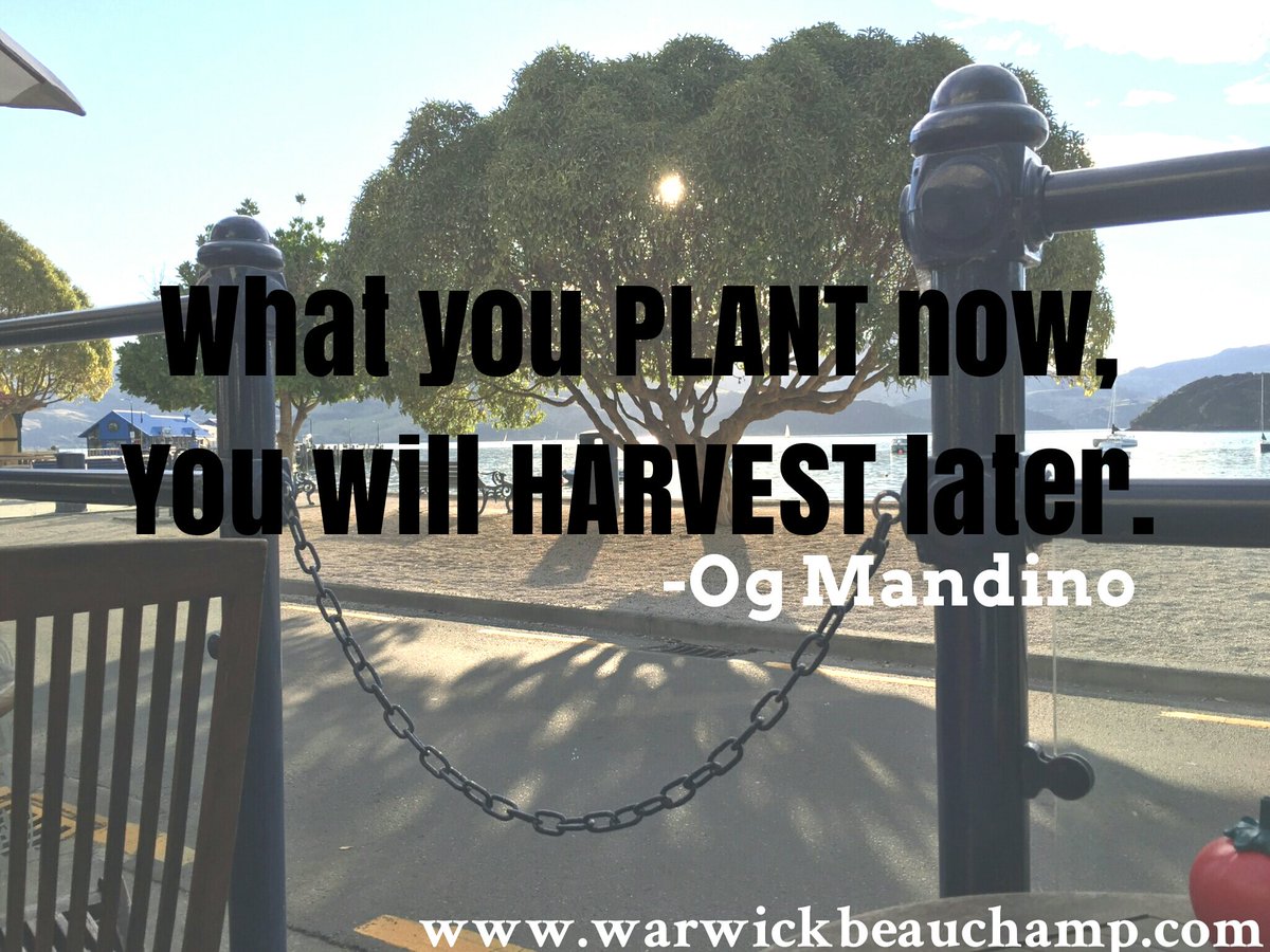 Always do the Best! 🌱👍